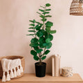 Árbol Eucalipto con Macetero 91 cm de Altura