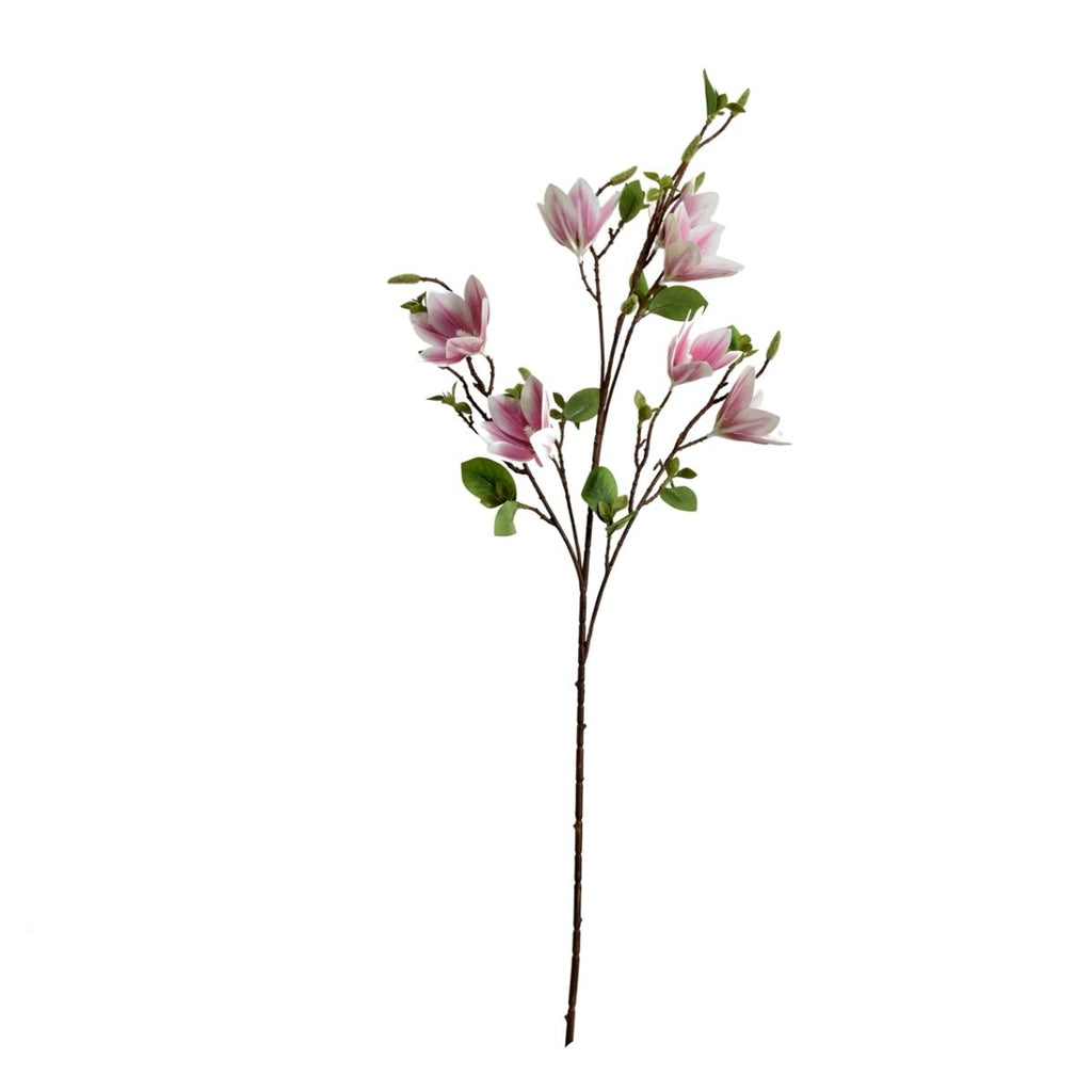 Helleborus light purple 100cm