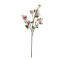 Helleborus light purple 100cm