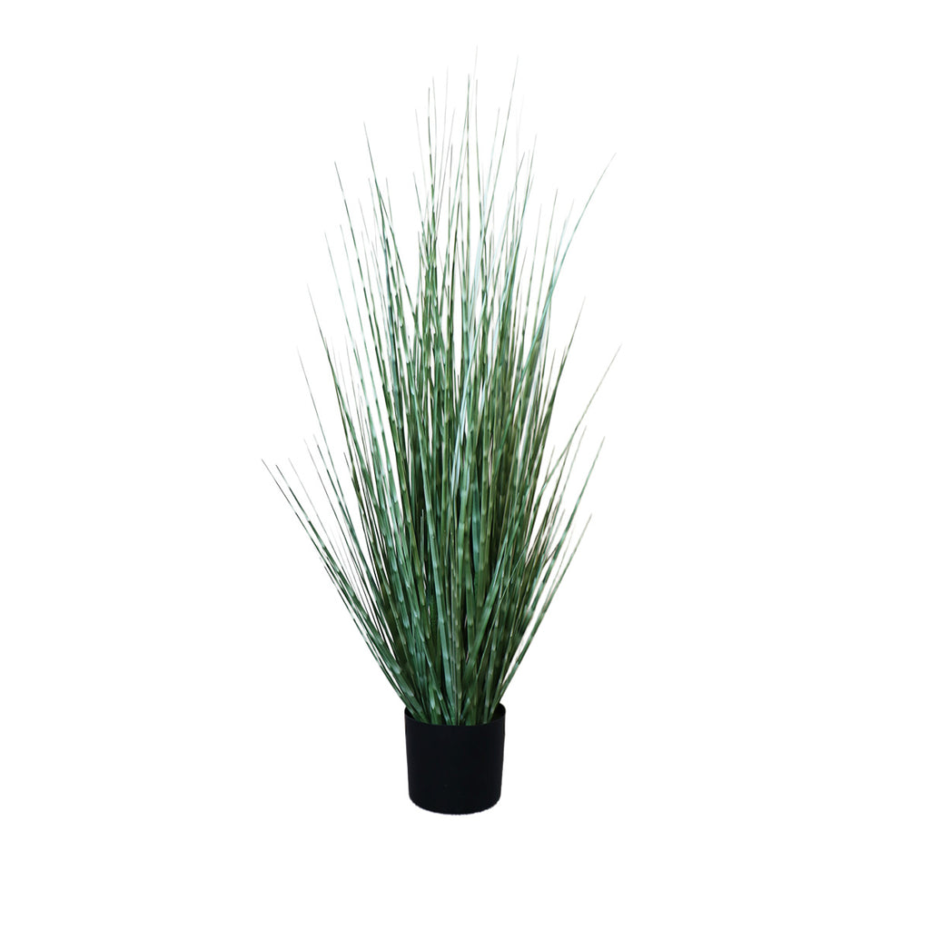 Grass Zebra con Macetero 91 cm de Altura