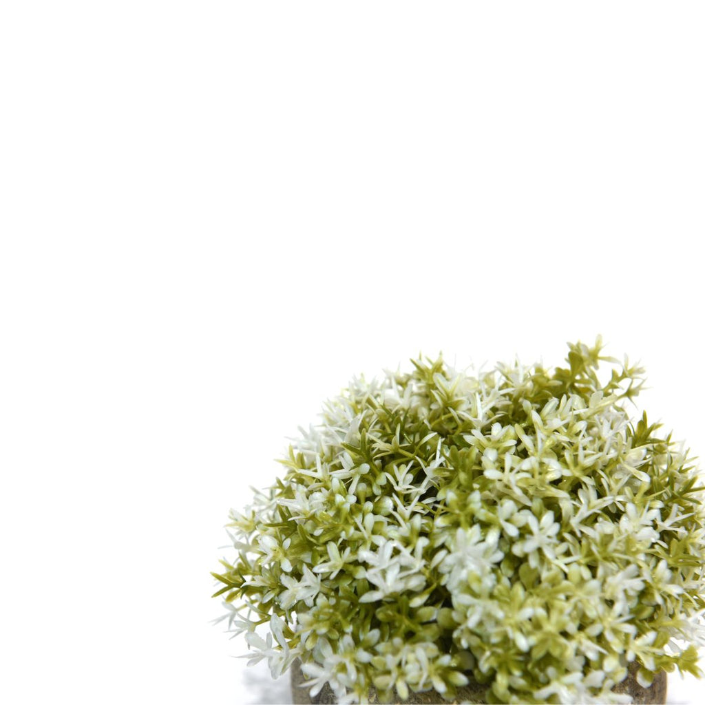 Mini arbusto artificial blanco con maceta cemento