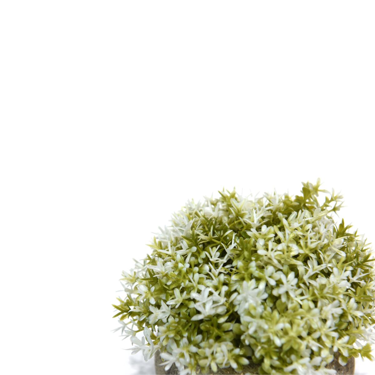 Mini arbusto artificial blanco con maceta cemento