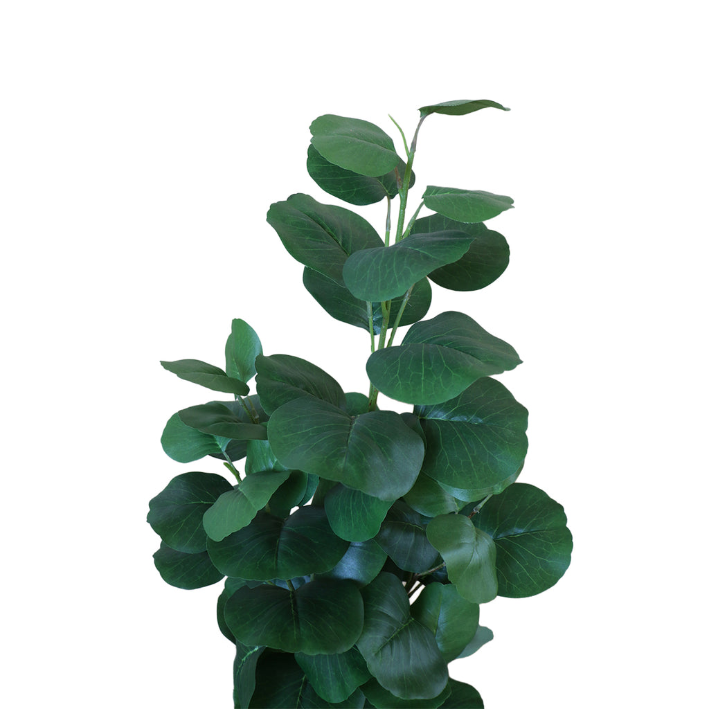 Árbol Eucalipto con Macetero 91 cm de Altura