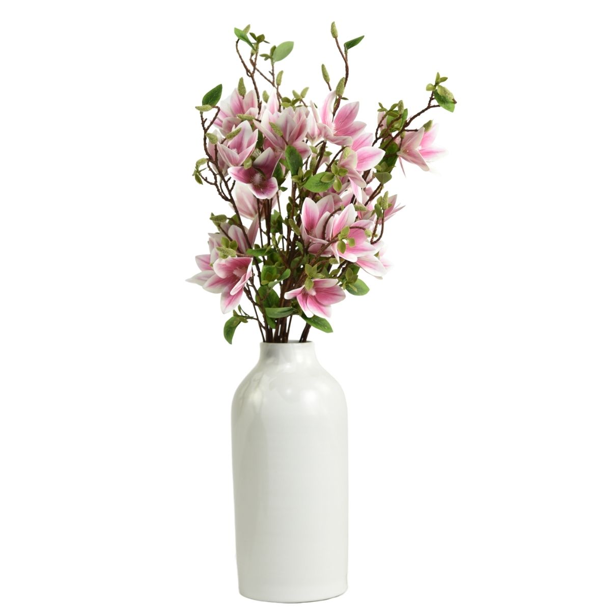 Helleborus light purple 100cm