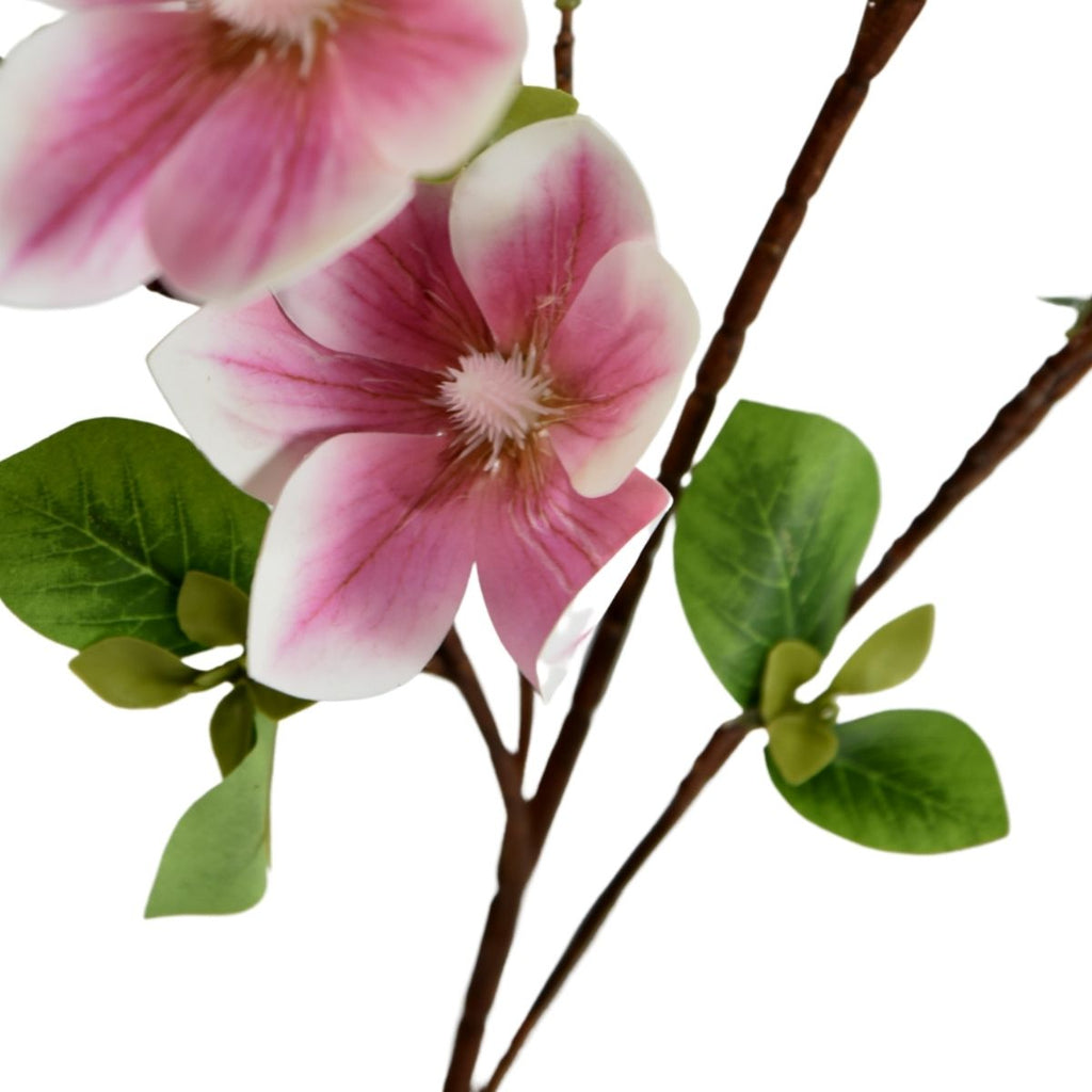 Helleborus light purple 100cm