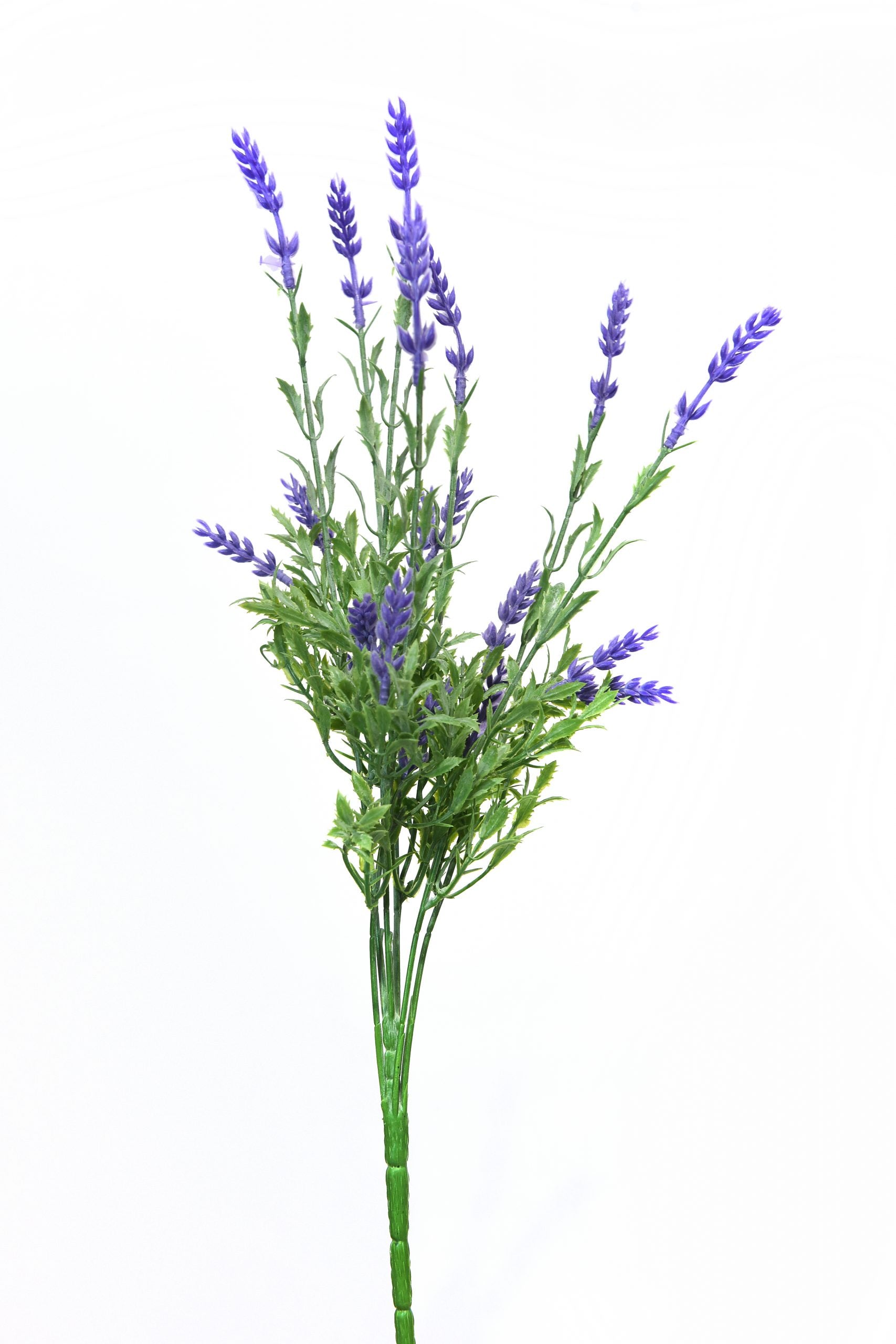 Lavanda A 35 cm