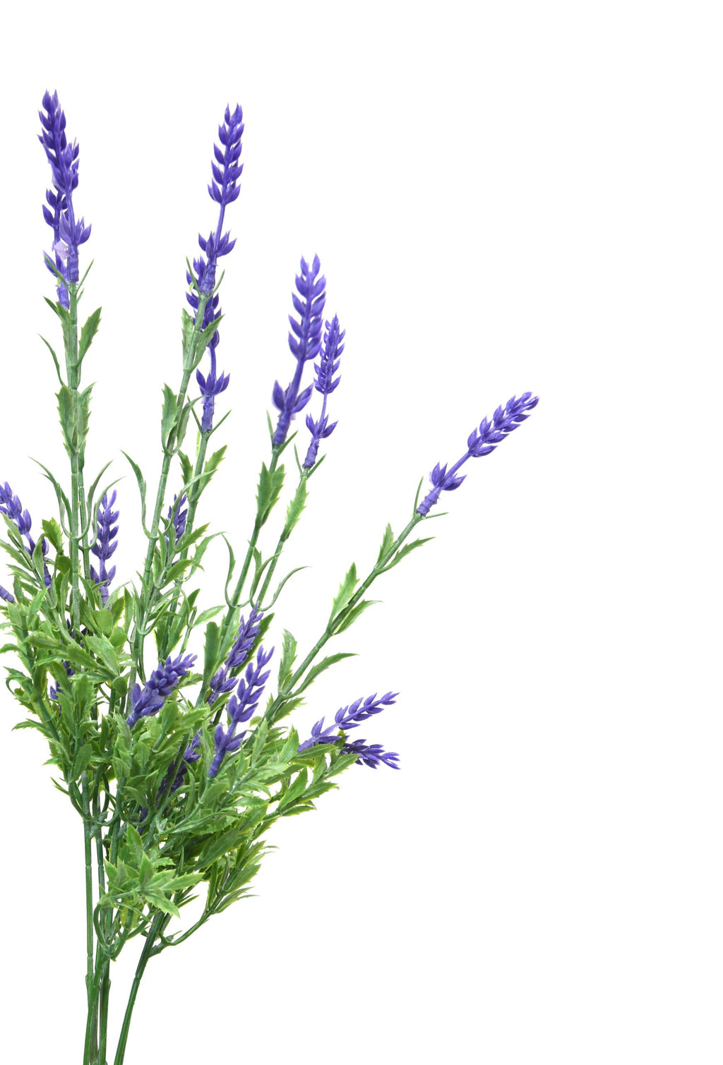 Lavanda A 35 cm