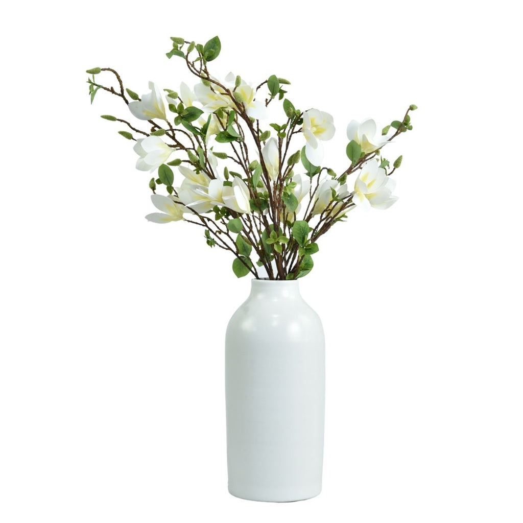 Helleborus blanco 100cm