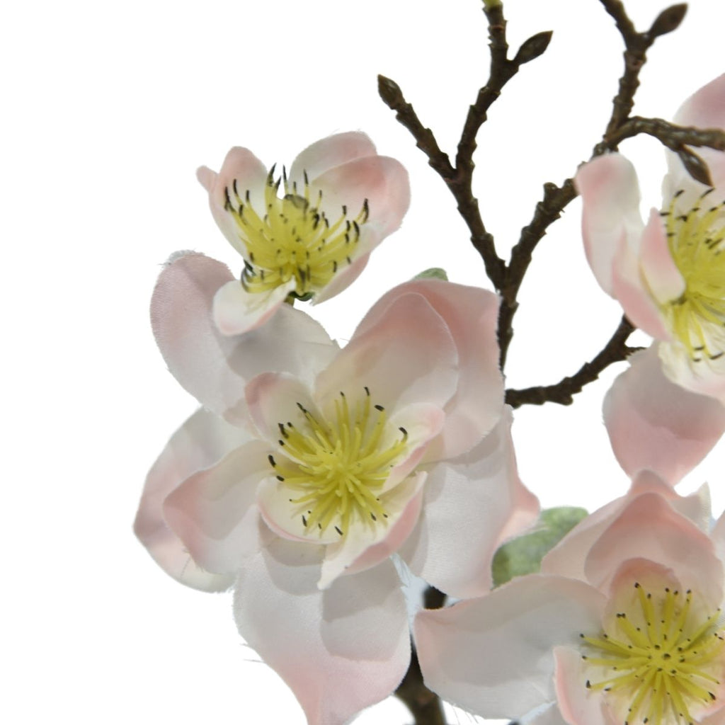 Magnolia light pink 50cm