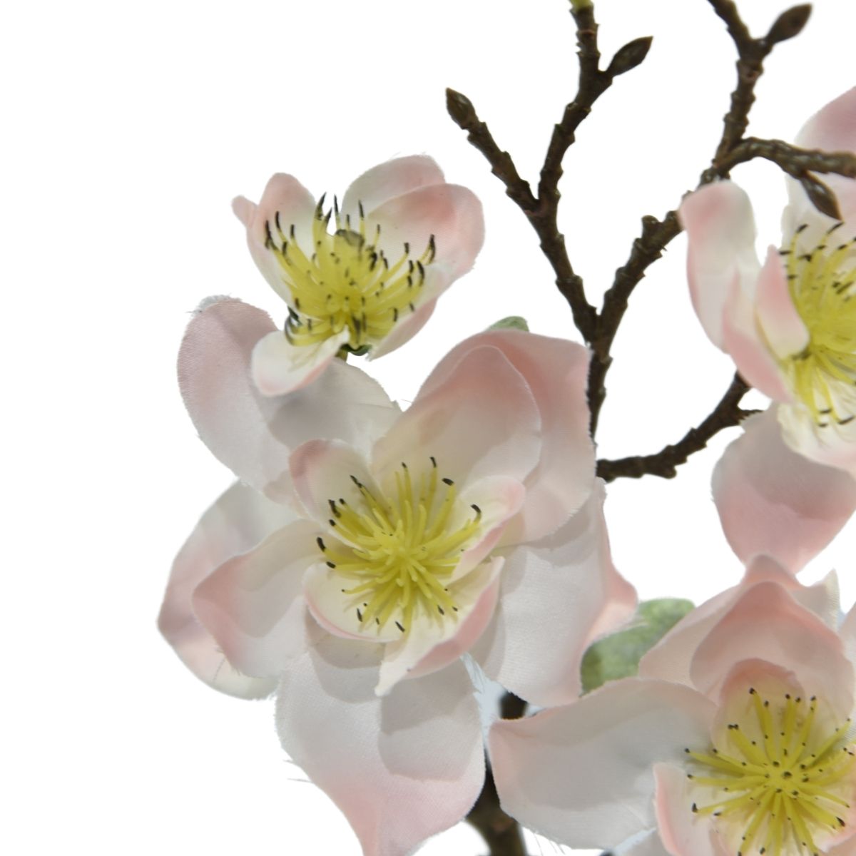Magnolia light pink 50cm