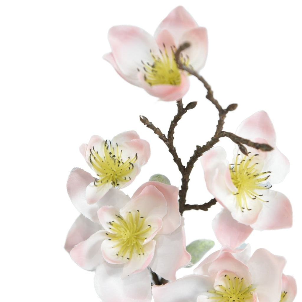 Magnolia light pink 50cm
