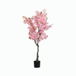 CHERRY BLOSSOM