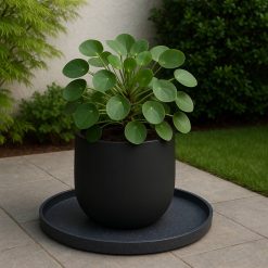 Plato base macetero redondo negro (Selecciona Tamaño)