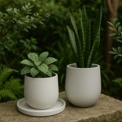 Plato base macetero redondo blanco (Seleccione tamaño)