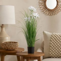 Grass Lily Flor de Lirio con Macetero 70 cm de Altura