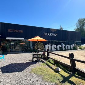 Nectar Deco Chicureo